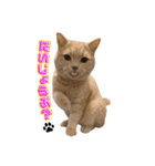 毎日そいまる3（個別スタンプ：10）