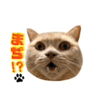 毎日そいまる3（個別スタンプ：12）