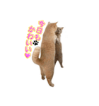 毎日そいまる3（個別スタンプ：33）