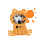 わんちゃんのカワイイスタンプ（個別スタンプ：8）