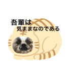 ハウくんスタンプNo.2（個別スタンプ：8）
