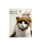 ててとぷう（個別スタンプ：3）