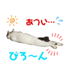 ててとぷう（個別スタンプ：12）