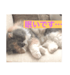 ふぅの助（個別スタンプ：1）