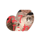 ふぅの助（個別スタンプ：3）