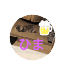 ふぅの助（個別スタンプ：4）