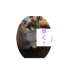 ふぅの助（個別スタンプ：5）
