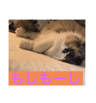 ふぅの助（個別スタンプ：7）