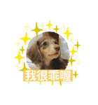 レイちゃん中国語版（個別スタンプ：7）