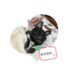 まさとの日常。（個別スタンプ：1）