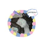 まさとの日常。（個別スタンプ：18）