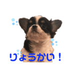 Aru-（個別スタンプ：5）