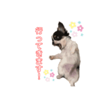 Aru-（個別スタンプ：8）