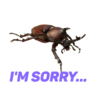Everyday insects（個別スタンプ：3）
