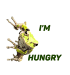 Everyday insects（個別スタンプ：8）