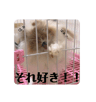 ふくさん、日常会話①（個別スタンプ：3）
