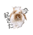 ふくさん、日常会話①（個別スタンプ：4）