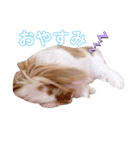 ふくさん、日常会話①（個別スタンプ：5）