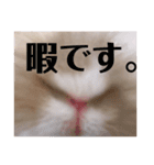 ふくさん、日常会話①（個別スタンプ：7）