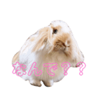 ふくさん、日常会話①（個別スタンプ：8）