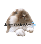 ふくさん、日常会話①（個別スタンプ：11）