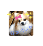 私はお嬢様（個別スタンプ：1）