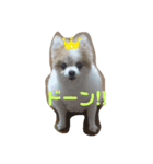 私はお嬢様（個別スタンプ：5）