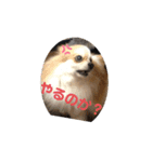 私はお嬢様（個別スタンプ：6）