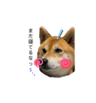 愛犬♡ワンちゃん2（個別スタンプ：4）