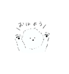 もこもことしたトイプー(白い)（個別スタンプ：1）