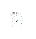 もこもことしたトイプー(白い)（個別スタンプ：4）