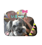 家族で使うびび（個別スタンプ：13）