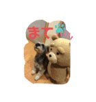 家族で使うびび（個別スタンプ：21）