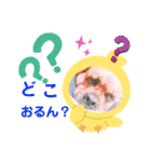 関西弁 ブサかわ犬ハラミちゃん（個別スタンプ：6）