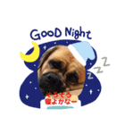 関西弁 ブサかわ犬ハラミちゃん（個別スタンプ：16）
