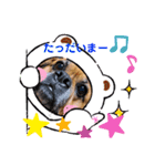 関西弁 ブサかわ犬ハラミちゃん（個別スタンプ：19）