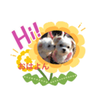 あいりんスタンプ(ラブリー)（個別スタンプ：1）