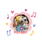 あいりんスタンプ(ラブリー)（個別スタンプ：3）