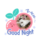 あいりんスタンプ(ラブリー)（個別スタンプ：4）