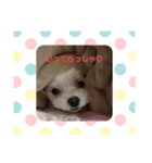 あいりんスタンプ(ラブリー)（個別スタンプ：8）