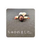 葉晴（個別スタンプ：12）