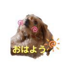 ペコ。（個別スタンプ：6）