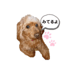 ペコ。（個別スタンプ：7）
