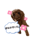 ペコ。（個別スタンプ：8）