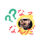 はるちゃん その五（個別スタンプ：2）