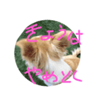 はるちゃん その五（個別スタンプ：3）