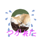 はるちゃん その五（個別スタンプ：5）