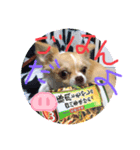 はるちゃん その五（個別スタンプ：7）