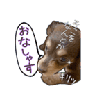 Kダックス詩さんの賑やかUTAンプ-1（個別スタンプ：4）