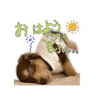 Kダックス詩さんの賑やかUTAンプ-1（個別スタンプ：5）